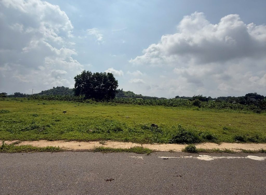 xuyenmocland anh bai dang